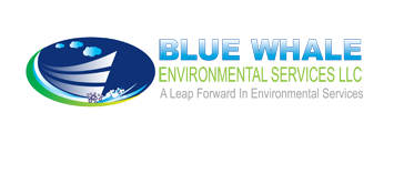 Blue Whale Environment Services LLC - Logo